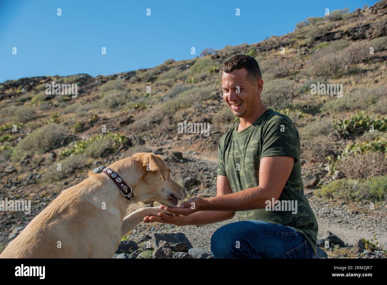 L'addestratore canino caucasico dà un trattamento al cane obbediente labrador che gli dà la zampa Foto Stock
