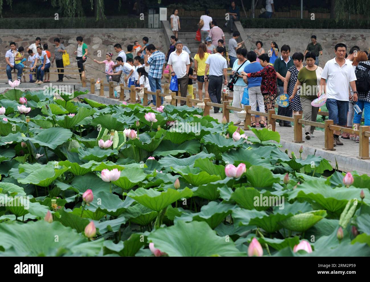 Bildnummer: 59892472 Datum: 23.06.2013 Copyright: imago/Xinhua (130623) -- ZHENGZHOU, 23 giugno 2013 (Xinhua) -- i turisti guardano le perdite in uno stagno al Parco Zijinshan a Zhengzhou, capitale della provincia di Henan della Cina centrale, 23 giugno 2013. (Xinhua/li Bo) (xzj) CHINA-HENAN-ZHENGZHOU-LOTUS (CN) PUBLICATIONxNOTxINxCHN Gesellschaft Lotus Lotusblume Lotusblumen x0x xsk 2013 quer 59892472 Data 23 06 2013 Copyright Imago XINHUA Zhengzhou 23 giugno 2013 i turisti XINHUA guardano il Loto in uno stagno AL Parco Zijinshan a Zhengzhou capitale della provincia di Henan della Cina centrale 23 giugno 2013 XINHUA sinistra B Foto Stock