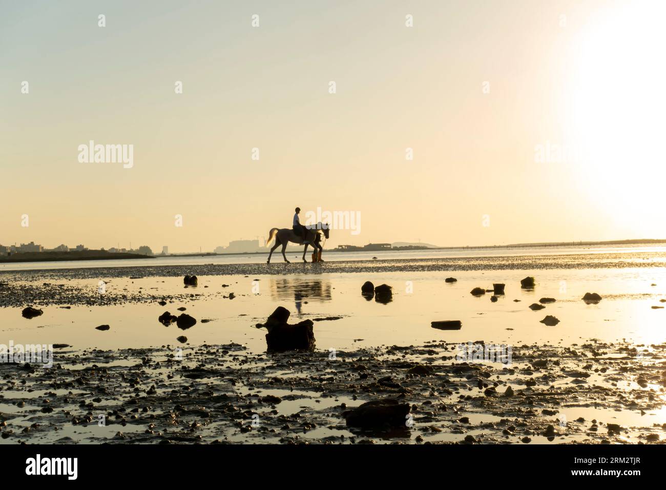 Silhouette di un cavaliere guidato da un uomo alla spiaggia di Seef in Bahrain Foto Stock