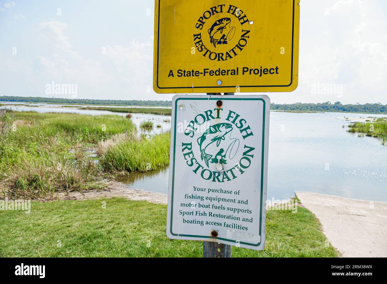 Ponte Vedra Beach Florida, Guana River Wildlife Management area, amache marittime con paludi salate, restauro di pesci sportivi progetto federale statale, natura naturale Foto Stock