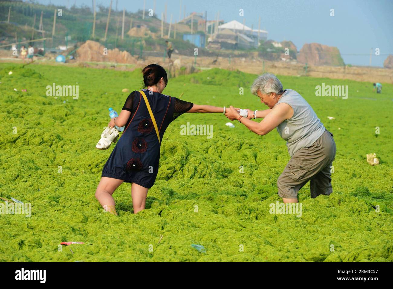 Bildnummer: 60136218 Datum: 16.07.2013 Copyright: imago/Xinhua (130716) -- QINGDAO, 16 luglio 2013 (Xinhua) -- i turisti attraversano cumuli di alghe verdi nella città di Qingdao, nella provincia dello Shandong della Cina orientale, 16 luglio 2013. Colpito dal tifone Soulik, una grande quantità di alghe verdi è stata portata alle spiagge di Qingdao martedì. Il lavoro di chiarimento è in corso. (Xinhua) (mt) CHINA-SHANDONG-QINGDAO CITY-GREEN ALGAE (CN) PUBLICATIONxNOTxINxCHN Gesellschaft Meer Küste Algen Grünalgen Algenpest Algenplage xbs x0x 2013 quer 60136218 Data 16 07 2013 Copyright Imago XINHUA Qingdao 16 luglio 2013 XINHUA Foto Stock