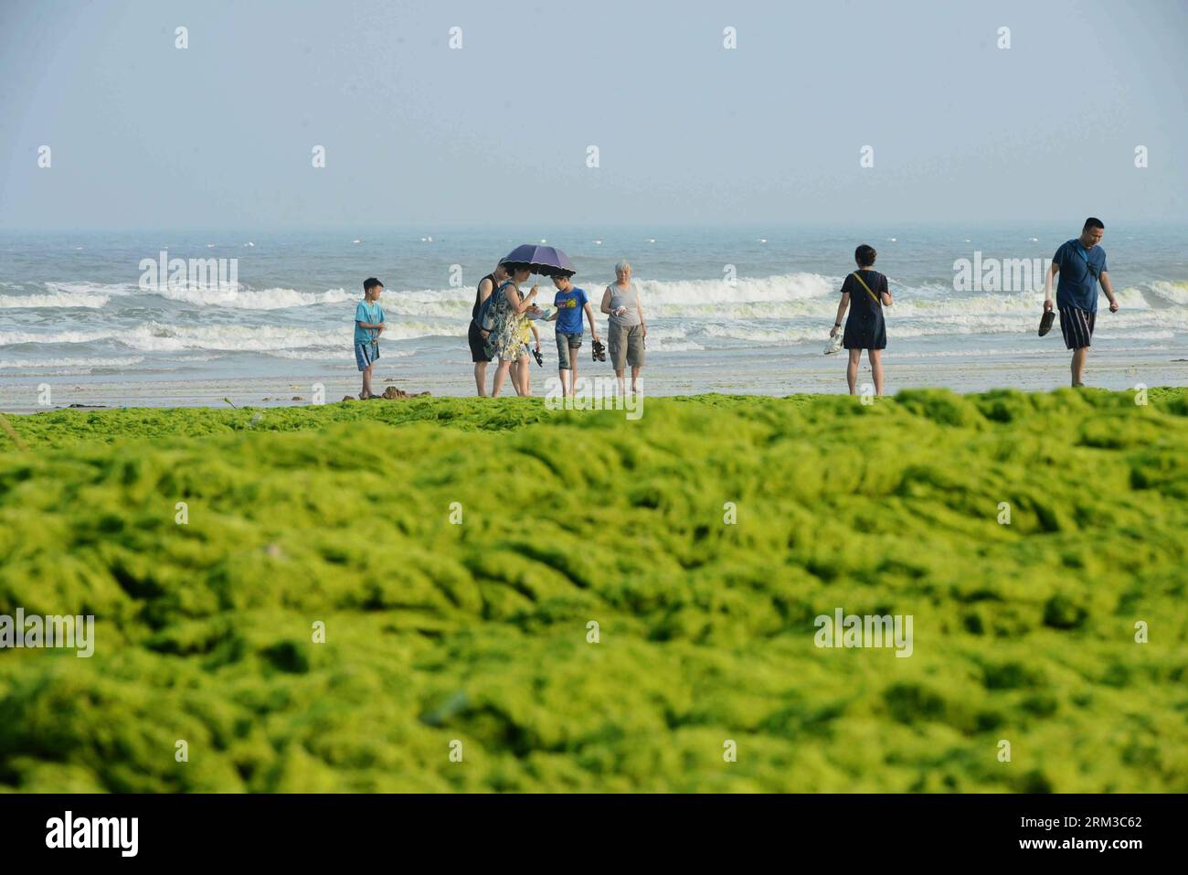 Bildnummer: 60136222 Datum: 16.07.2013 Copyright: imago/Xinhua (130716) -- QINGDAO, 16 luglio 2013 (Xinhua) -- i turisti giocano sulla spiaggia vicino a pile di alghe verdi nella città di Qingdao, nella provincia dello Shandong della Cina orientale, 16 luglio 2013. Colpito dal tifone Soulik, una grande quantità di alghe verdi è stata portata alle spiagge di Qingdao martedì. Il lavoro di chiarimento è in corso. (Xinhua) (mt) CHINA-SHANDONG-QINGDAO CITY-GREEN ALGAE (CN) PUBLICATIONxNOTxINxCHN Gesellschaft Meer Küste Algen Grünalgen Algenpest Algenplage xbs x0x 2013 quer 60136222 Data 16 07 2013 Copyright Imago XINHUA Qingdao luglio 16 2 Foto Stock
