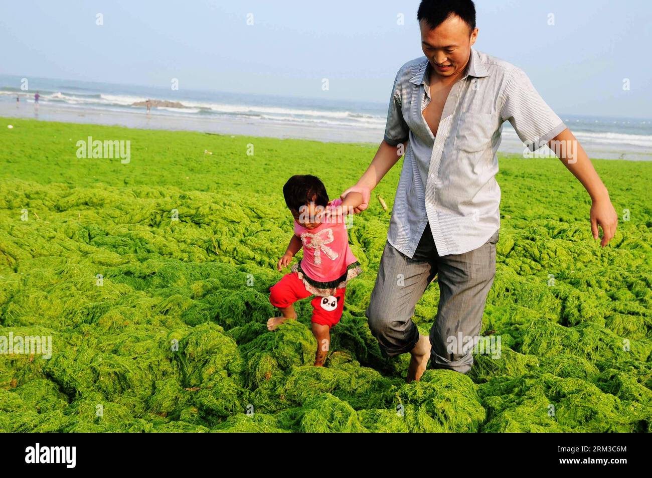 Bildnummer: 60136223 Datum: 16.07.2013 Copyright: imago/Xinhua (130716) -- QINGDAO, 16 luglio 2013 (Xinhua) -- i turisti attraversano cumuli di alghe verdi nella città di Qingdao, nella provincia dello Shandong della Cina orientale, 16 luglio 2013. Colpito dal tifone Soulik, una grande quantità di alghe verdi è stata portata alle spiagge di Qingdao martedì. Il lavoro di chiarimento è in corso. (Xinhua) (mt) CHINA-SHANDONG-QINGDAO CITY-GREEN ALGAE (CN) PUBLICATIONxNOTxINxCHN Gesellschaft Meer Küste Algen Grünalgen Algenpest Algenplage xbs x0x 2013 quer 60136223 Data 16 07 2013 Copyright Imago XINHUA Qingdao 16 luglio 2013 XINHUA Foto Stock