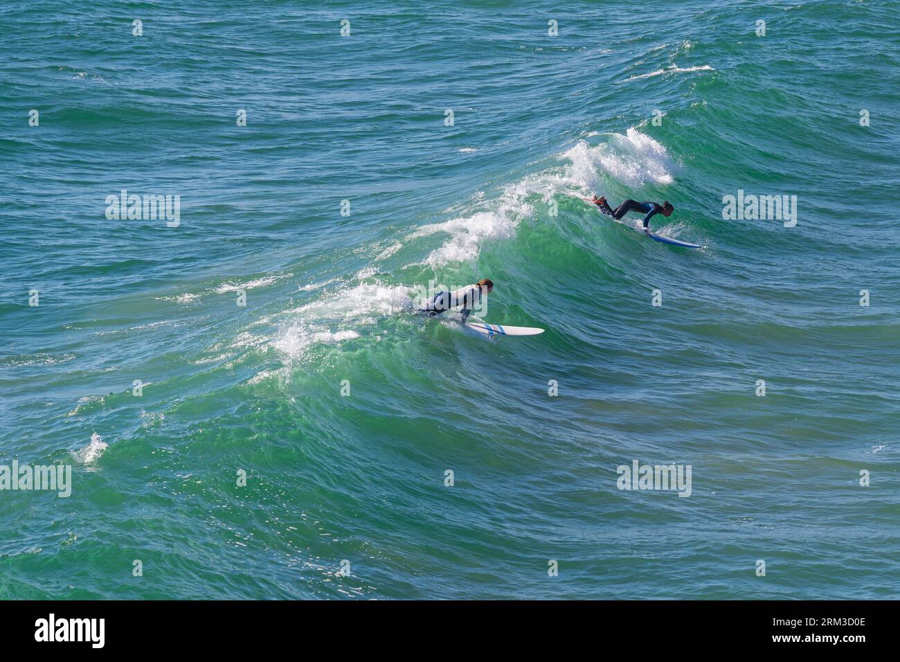 Due surfisti maschili che cavalcano un'onda a Chesterman Beach, Tofino, Vancouver Island, British Columbia, Canada. Foto Stock