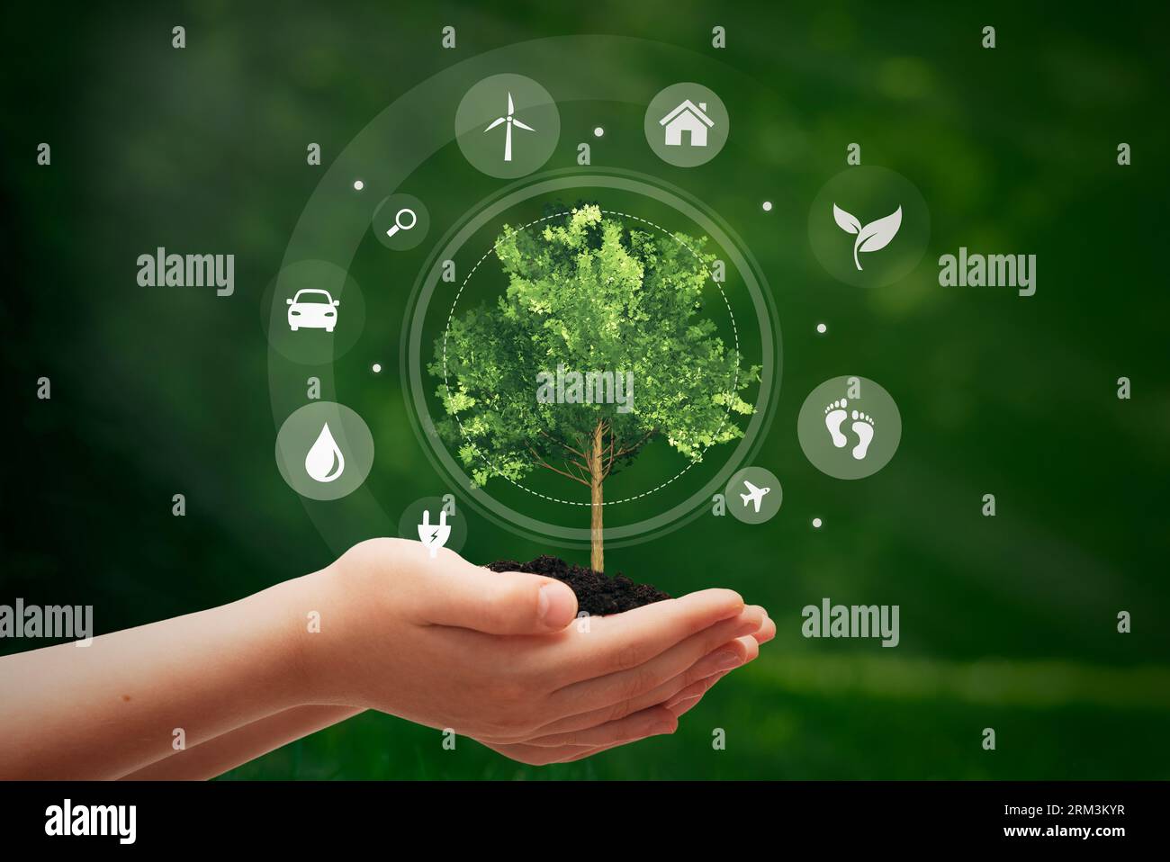 Fonti di energia sostenibili, concetto di ecologia con albero in mano Foto Stock
