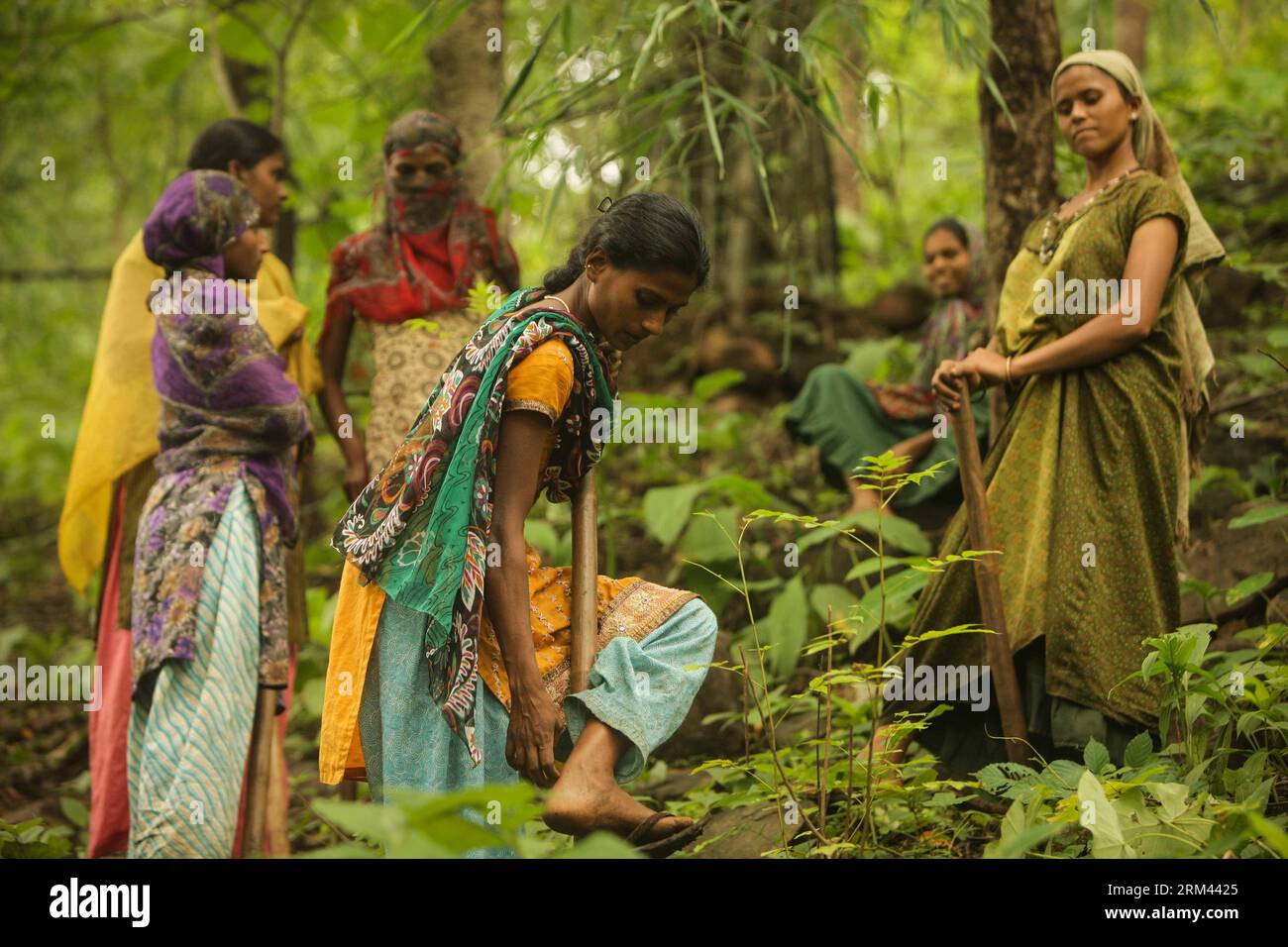 Bildnummer: 60367849 Datum: 18.08.2013 Copyright: imago/Xinhua (130818) -- BHARUCH, 18 agosto 2013 (Xinhua) -- Una donna di una tribù vicina gratta morsi di insetti sul piede durante il lavoro nella giungla del distretto di Narmada del Gujarat in India, 18 agosto 2013. Nella zona della giungla del distretto di Narmada, nella parte orientale del Gujarat, alcune donne tribali devono lavorare 8 ore al giorno per ripulire le erbacce che circondano le giovani piante di bambù. Si trovano ad affrontare condizioni di lavoro difficili come insetti pungenti e pendenze scivolose durante la stagione dei monsoni. Erano impiegati dal dipartimento forestale locale, che pianificava di girare il ba Foto Stock