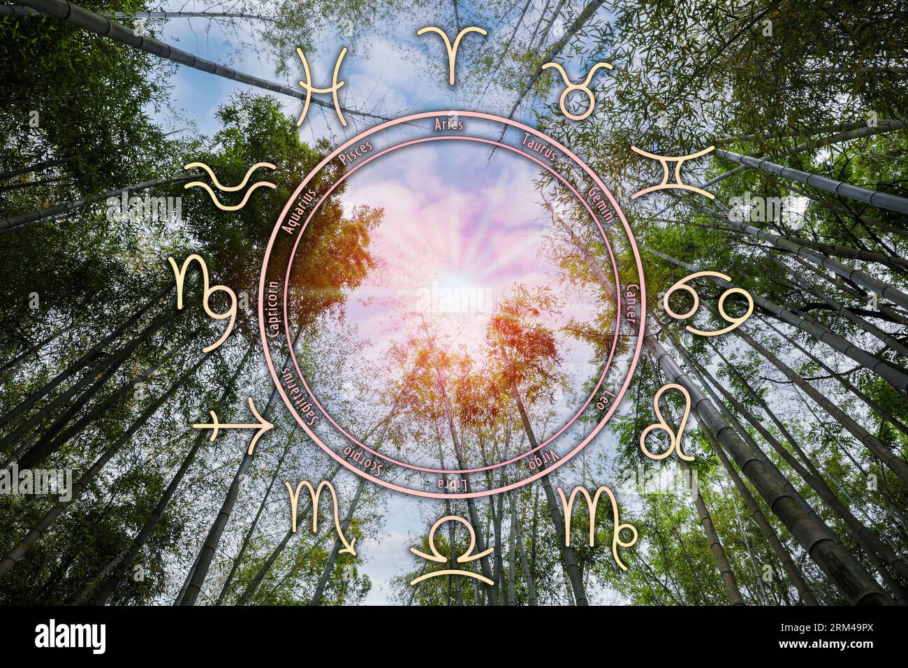 Ruota zodiacale e splendida vista sulla foresta di bambù sotto il cielo nuvoloso Foto Stock