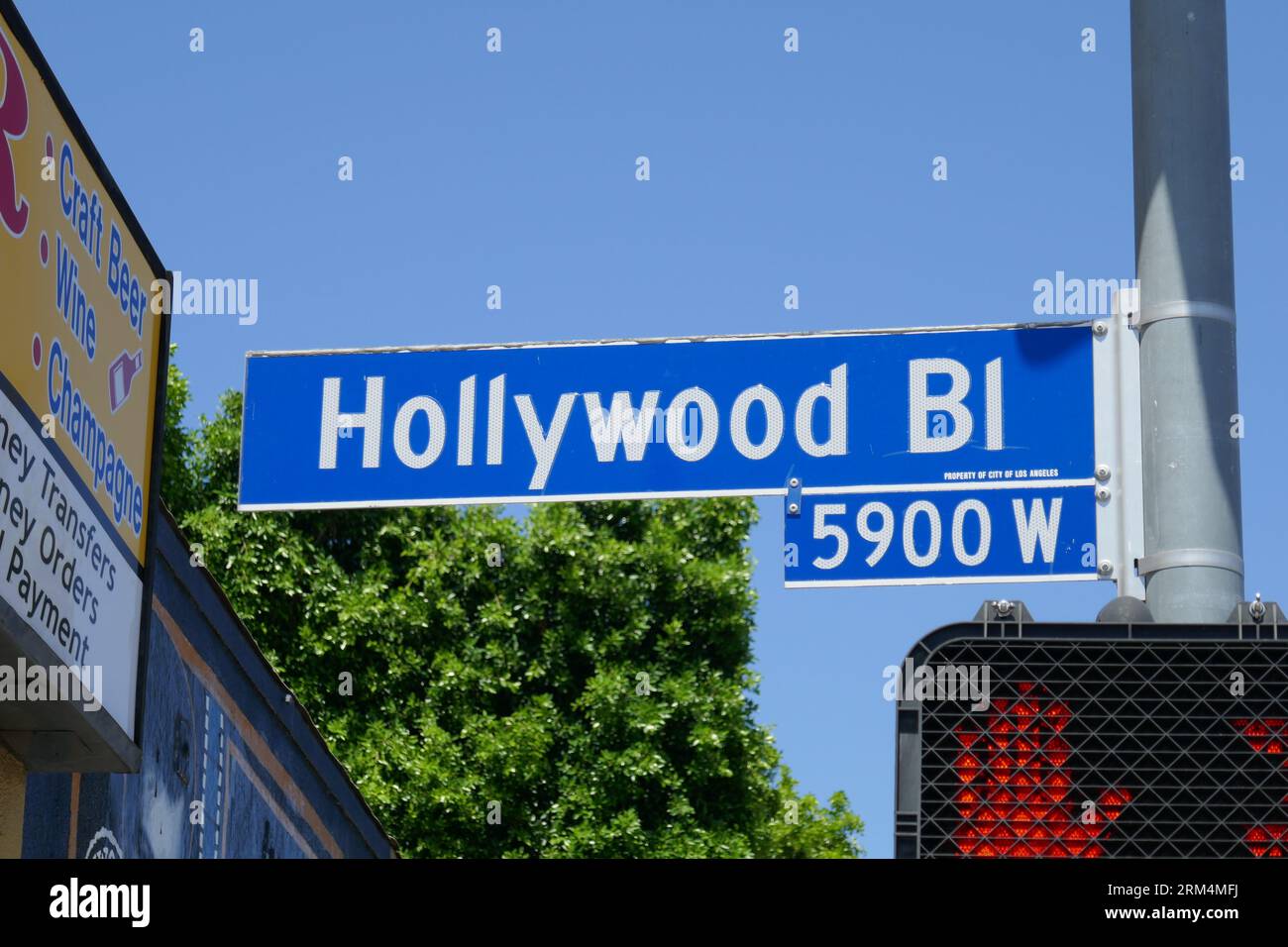 Los Angeles, California, USA 22 agosto 2023 Hollywood Blvd Street Sign il 22 agosto 2023 a Los Angeles, California, USA. Foto di Barry King/Alamy Stock Photo Foto Stock