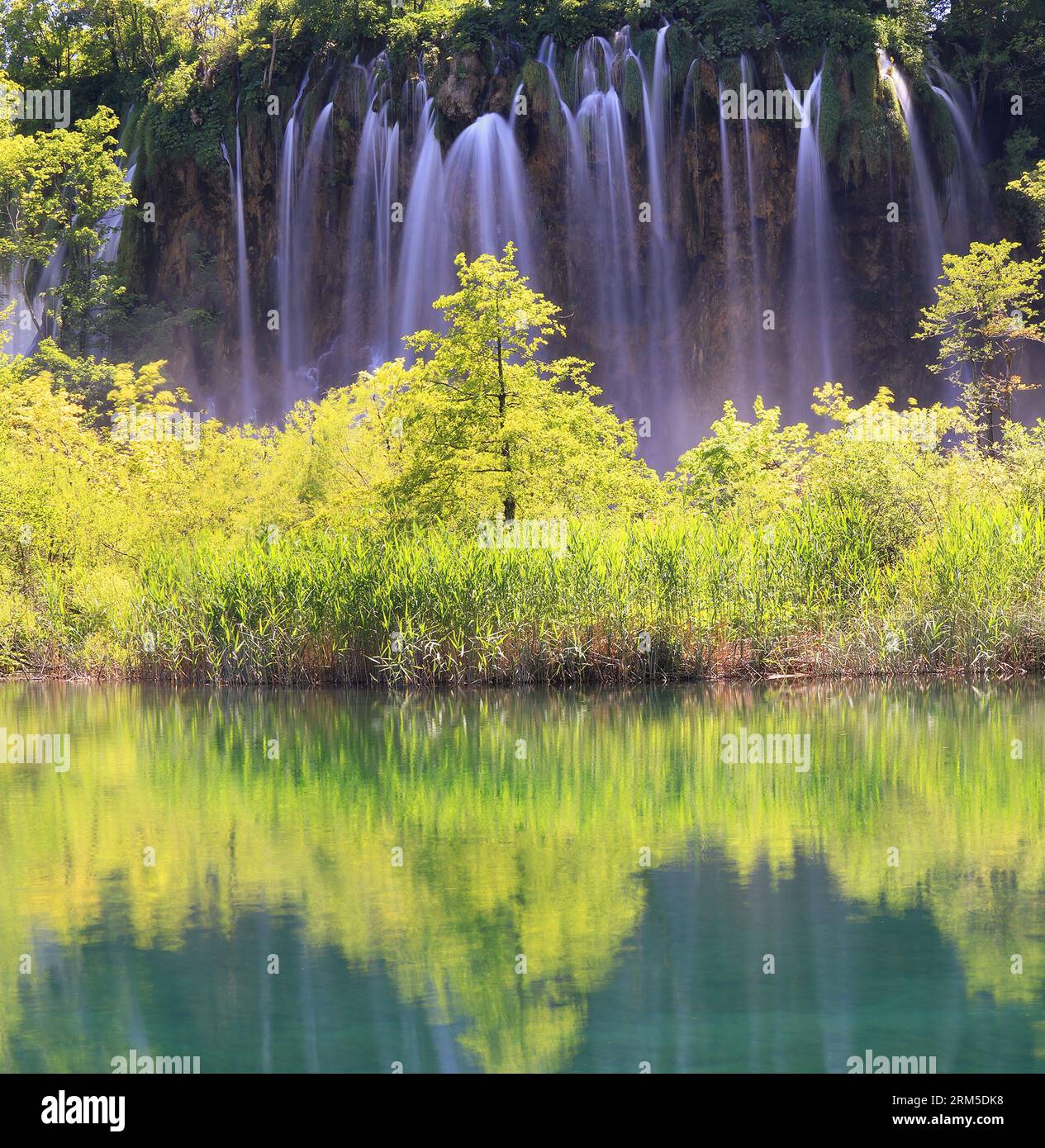 Cascate nel Parco Nazionale dei Laghi di Plitvice, Croazia, Europa. Vista maestosa con acque turchesi Foto Stock