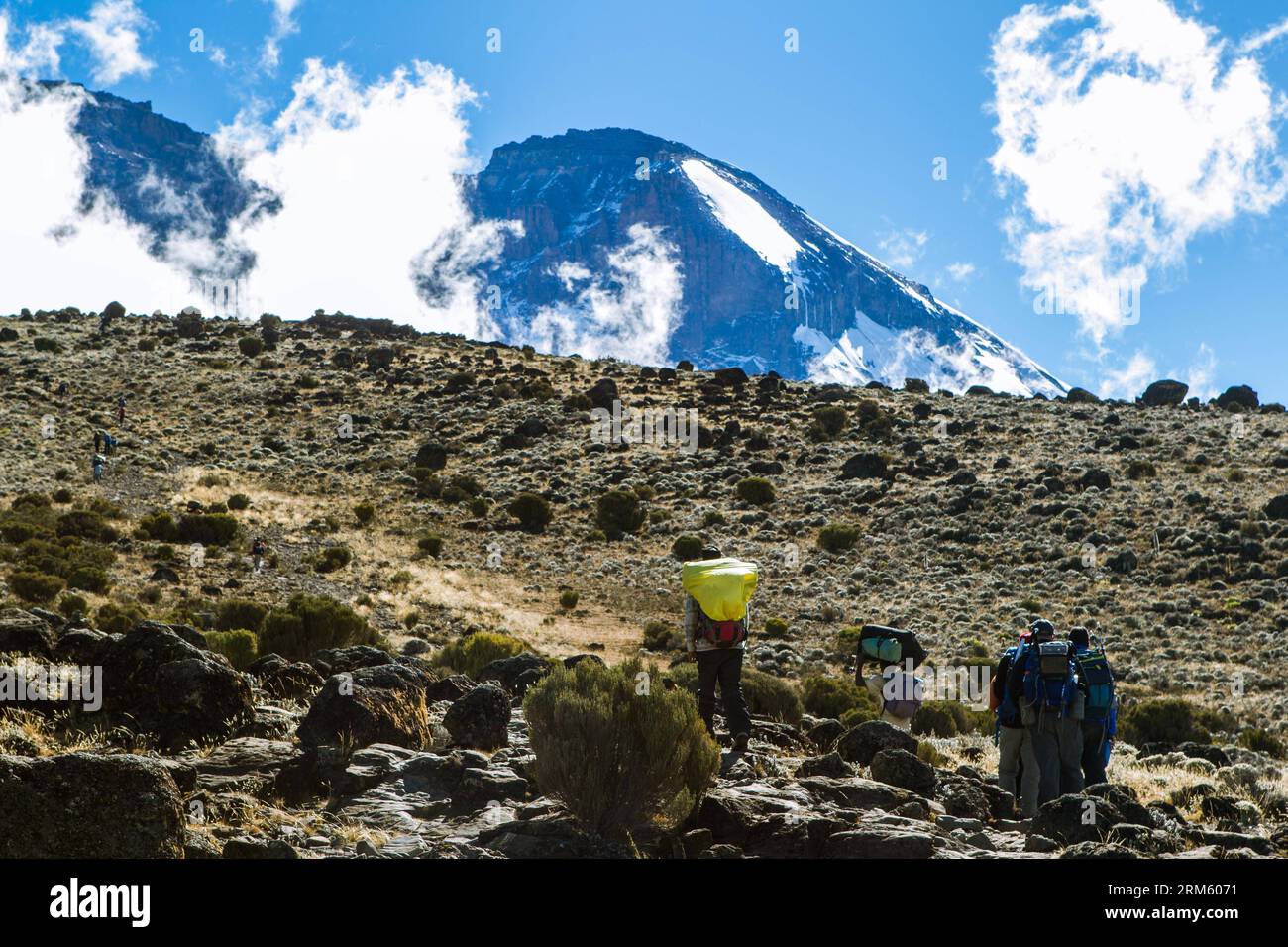 Bildnummer: 60749422 Datum: 17.11.2013 Copyright: imago/Xinhua MOUNT KILIMANJARO, Nov., 2013 (Xinhua) -- gli escursionisti camminano sulla Machame Route del Monte Kilimanjaro, Tanzania settentrionale, 17 novembre 2013. (Xinhua/li Jing) (djj) TANZANIA-MOSHI-MOUNT KILIMANJARO PUBLICATIONxNOTxINxCHN Reisen Afrika Gesellschaft xjh x0x 2013 quer Foto Stock