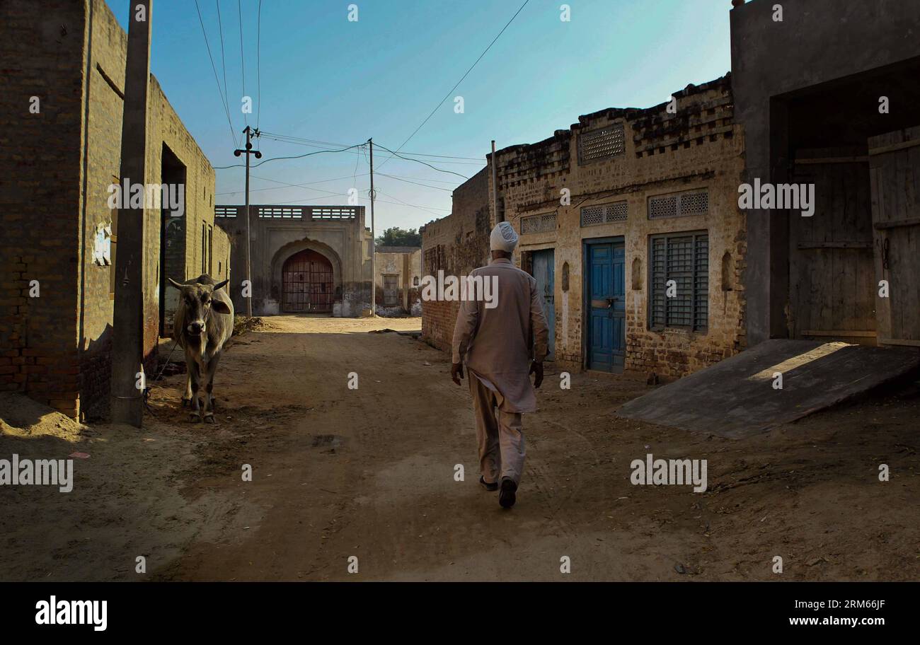 Bildnummer: 60824796 Datum: 12.12.2013 Copyright: imago/Xinhua un uomo Punjabi cammina in un villaggio affetto da cancro vicino a Bathinda, nello stato settentrionale del Punjab in India, 12 dicembre 2013. Negli ultimi anni il numero di pazienti affetti da cancro è cresciuto variegato nella zona di Malwa nel distretto di Bathinda nel Punjab, in India. Attualmente, centinaia di persone soffrono di cancro nella zona. A livello locale l'uso eccessivo di pesticidi ha contaminato le acque sotterranee. Gli inquinanti si trovano anche negli ortaggi coltivati nella zona, secondo il notiziario locale. Ogni giorno, un treno, chiamato localmente treno del cancro, carr Foto Stock