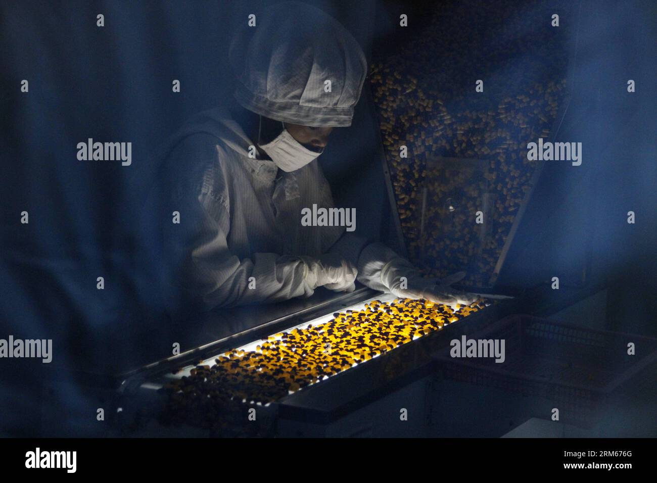 Bildnummer: 60831902 Datum: 14.12.2013 Copyright: imago/Xinhua un membro dello staff lavora in una fabbrica di capsule ad Addis Abeba, capitale dell'Etiopia, 14 dicembre 2013. La fabbrica è stata fondata con una partnership tra due società cinesi, ossia China associate Group e Dandong Jinwan Group, e ZAF Pharmaceuticals p.l.c. (Xinhua/Michael Tewelde) ETIOPIA-CINA-CAPSULA FABBRICA PUBLICATIONxNOTxINxCHN People x0x xds 2013 quer Foto Stock