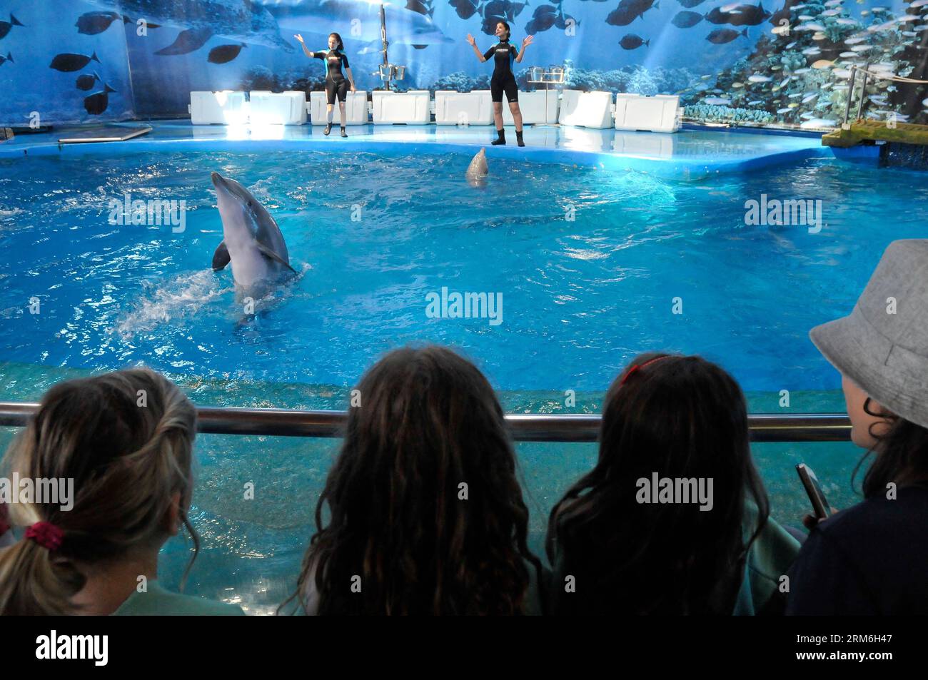 Struttura che ha ospitato mostre di delfini per decenni, lo zoo di Barcellona Aquarama dell'orca Ulisses e gli spettacoli di delfini. Spettacoli di cetacei Foto Stock