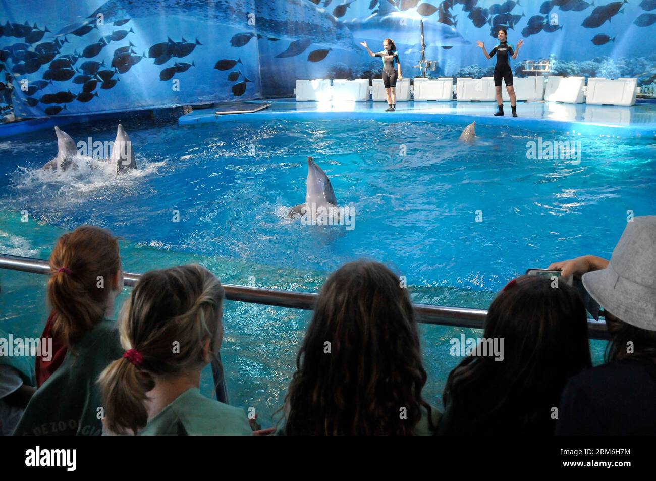 Struttura che ha ospitato mostre di delfini per decenni, lo zoo di Barcellona Aquarama dell'orca Ulisses e gli spettacoli di delfini. Spettacoli di cetacei Foto Stock