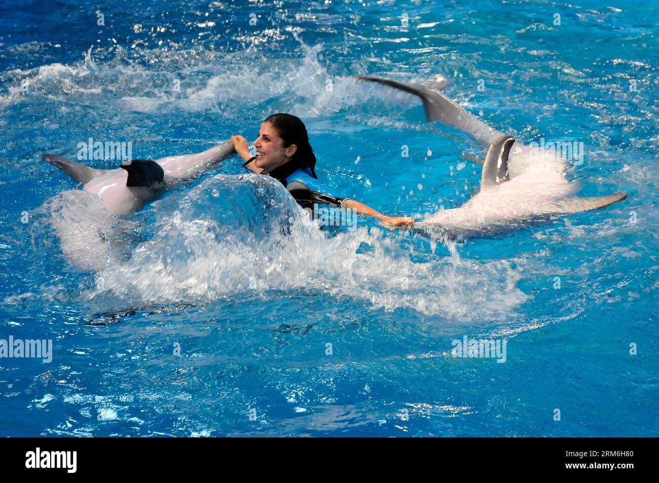 Struttura che ha ospitato mostre di delfini per decenni, lo zoo di Barcellona Aquarama dell'orca Ulisses e gli spettacoli di delfini. Spettacoli di cetacei Foto Stock
