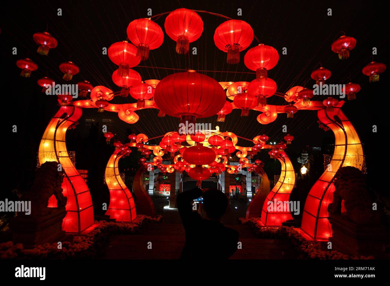 La foto scattata l'8 febbraio 2014 mostra le lanterne esposte al Sun Wen (Sun Yat-sen) Memorial Park nella città di Zhongshan, nella provincia del Guangdong della Cina meridionale, 8 febbraio 2014. Qui si è tenuto uno spettacolo di lanterne per salutare il prossimo festival delle lanterne che cade il 14 febbraio di quest'anno. (Xinhua/Zheng Huansong) (cjq) CHINA-GUANGDONG-ZHONGSHAN-LANTERN SHOW (CN) PUBLICATIONxNOTxINxCHN foto scattata L'8 febbraio 2014 mostra le lanterne esposte AL Sun Wen Sun Yat Sen Memorial Park nella città di Zhong Shan nella provincia del Guangdong, nella Cina meridionale, 8 febbraio 2014 un spettacolo di Lanterne cosa eroe qui per salutare l'imminente Festival delle Lanterne che cade Foto Stock