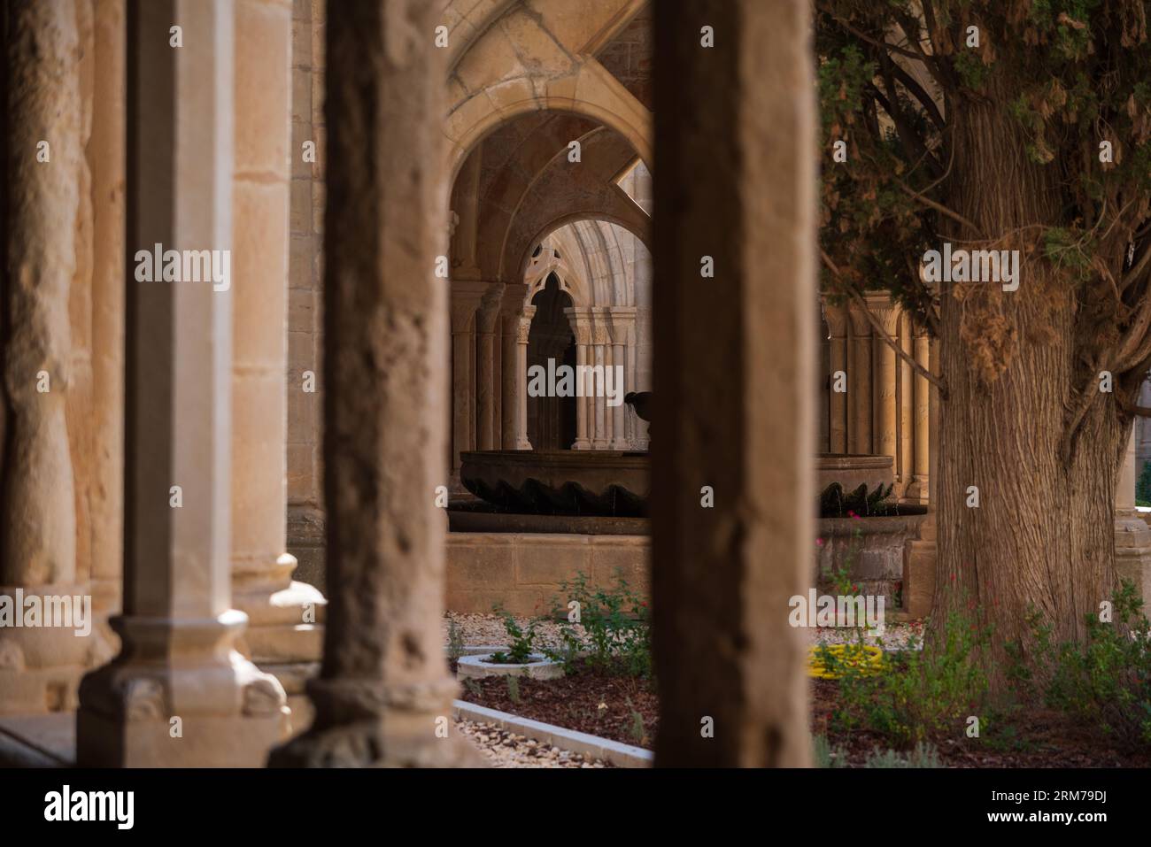 Interno del monastero di Poblet Foto Stock