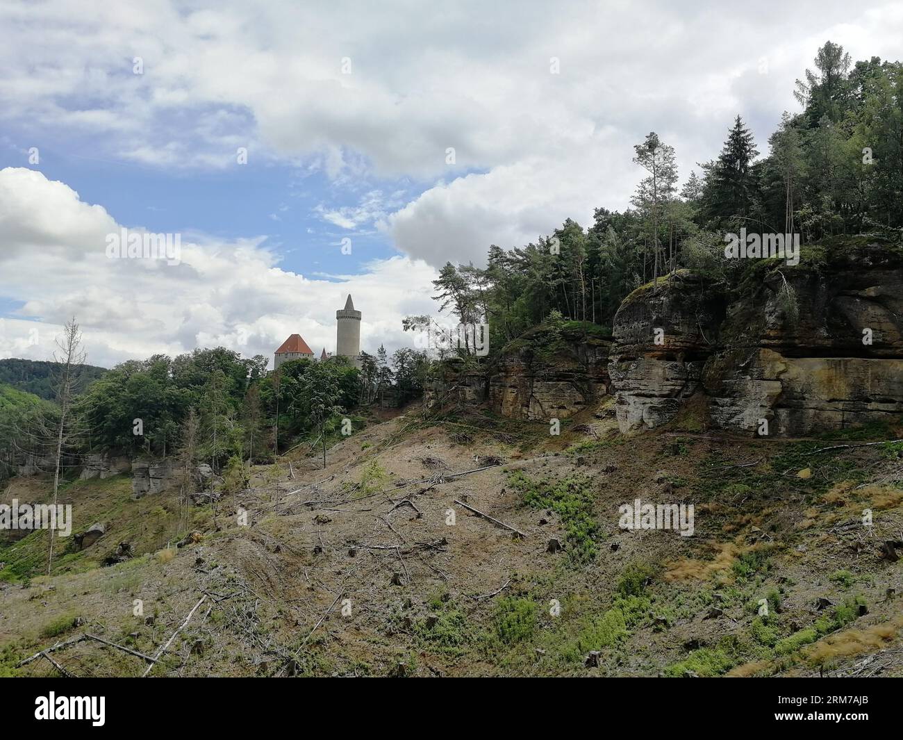 Kokorin, repubblica Ceca - 14 giugno 2023: Edificio storico castello medievale di Kokorin nelle foreste profonde della regione di Kokorinsko, Boemia, repubblica Ceca, nazionale Foto Stock