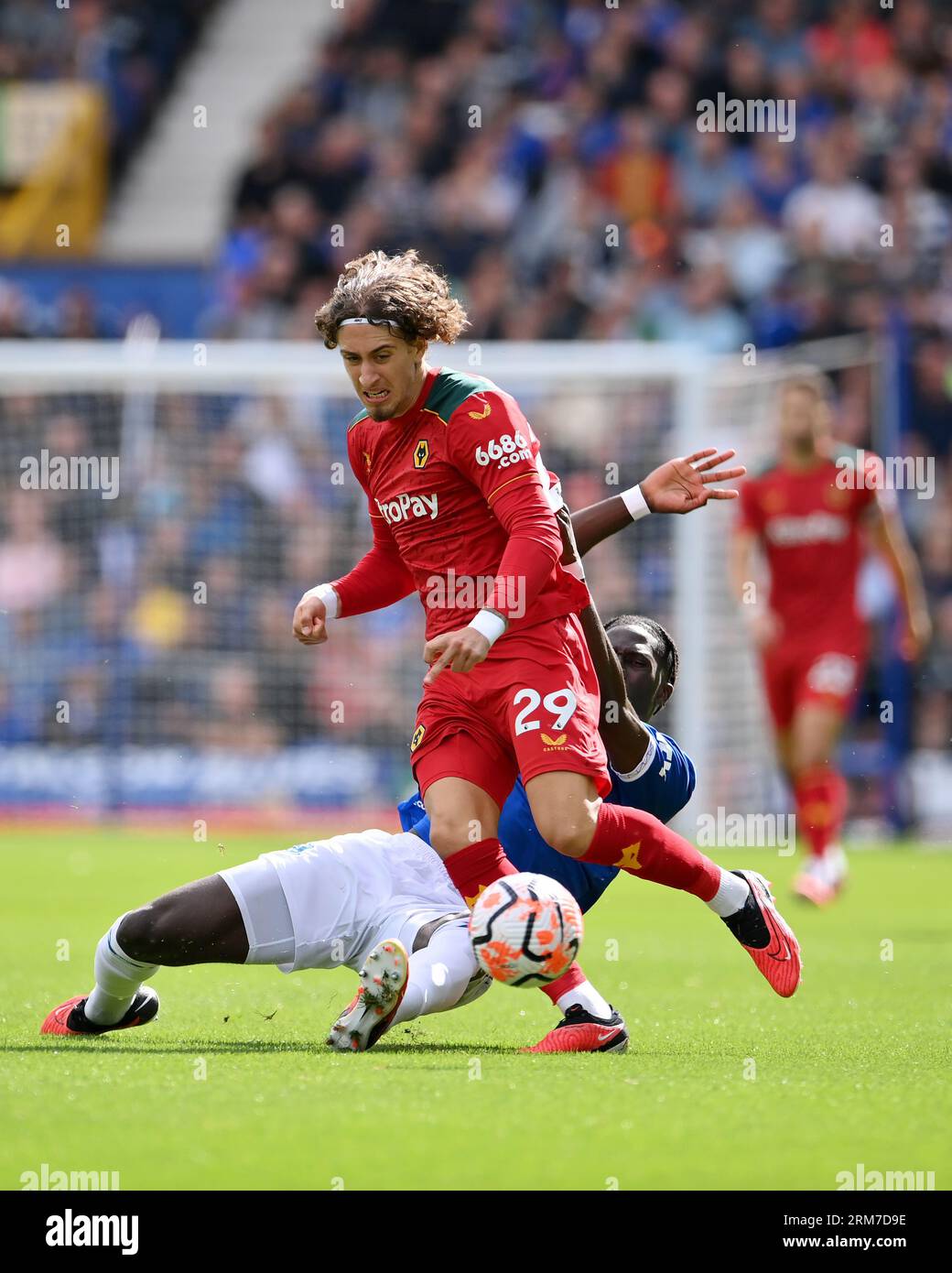 Liverpool, Regno Unito. 26 agosto 2023. Amadou Onana dell'Everton affronta Fábio Silva del Wolverhampton Wanderers durante la partita di Premier League a Goodison Park, Liverpool. Il credito fotografico dovrebbe leggere: Gary Oakley/Sportimage Credit: Sportimage Ltd/Alamy Live News Foto Stock