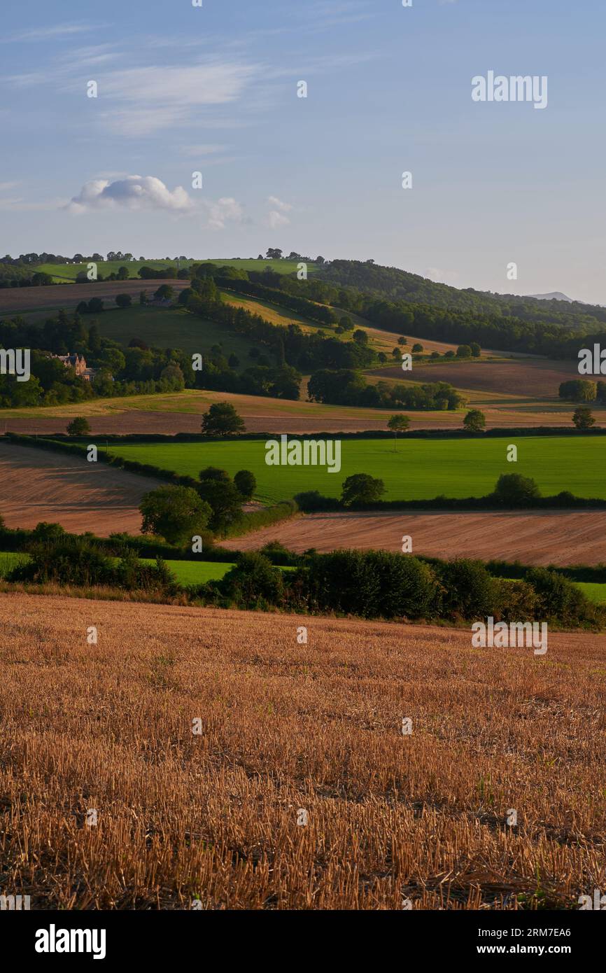 Vista sulla campagna inglese al tramonto in estate sotto il cielo blu con una nuvola Foto Stock