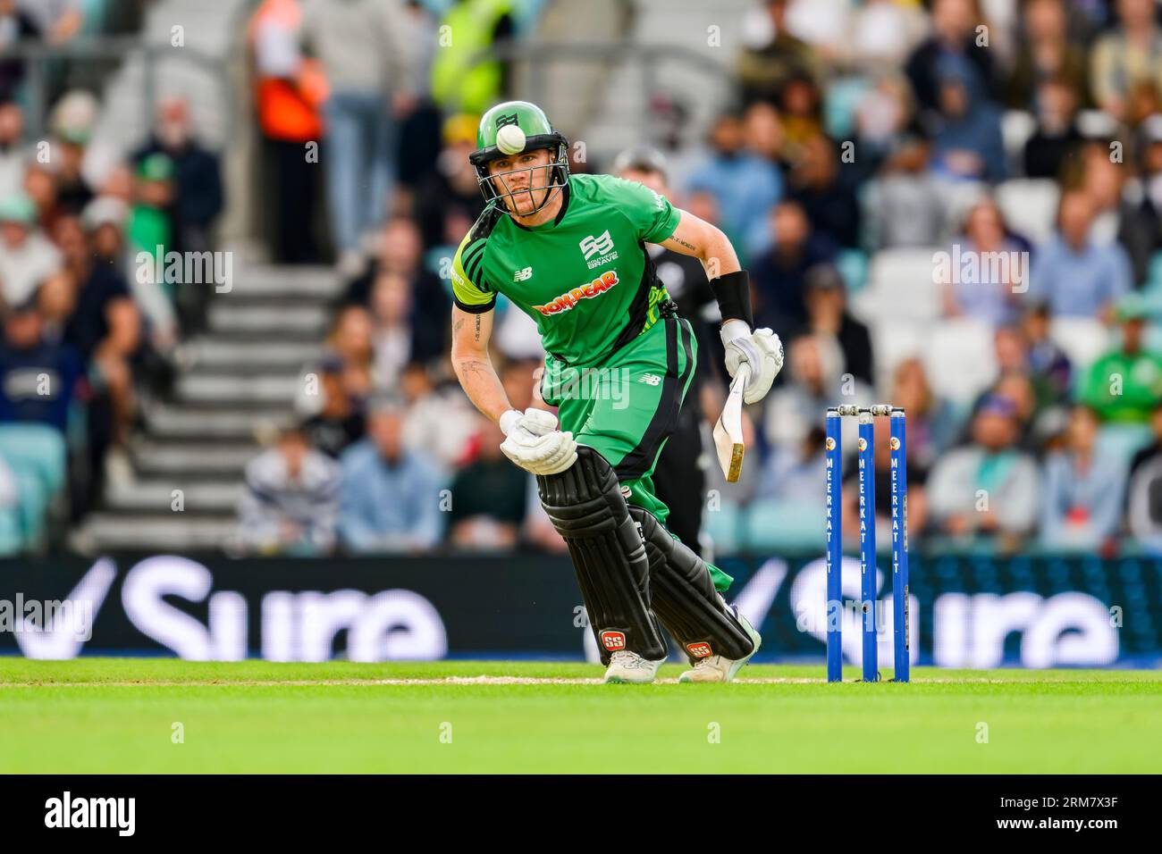 LONDRA, REGNO UNITO. 26 agosto 2023. Finn Allen di Southern Brave durante l'Eliminator - Manchester Originals vs Southern Brave al Kia Oval Cricket Ground sabato 26 agosto 2023 a LONDRA INGHILTERRA. Crediti: Taka Wu/Alamy Live News Foto Stock