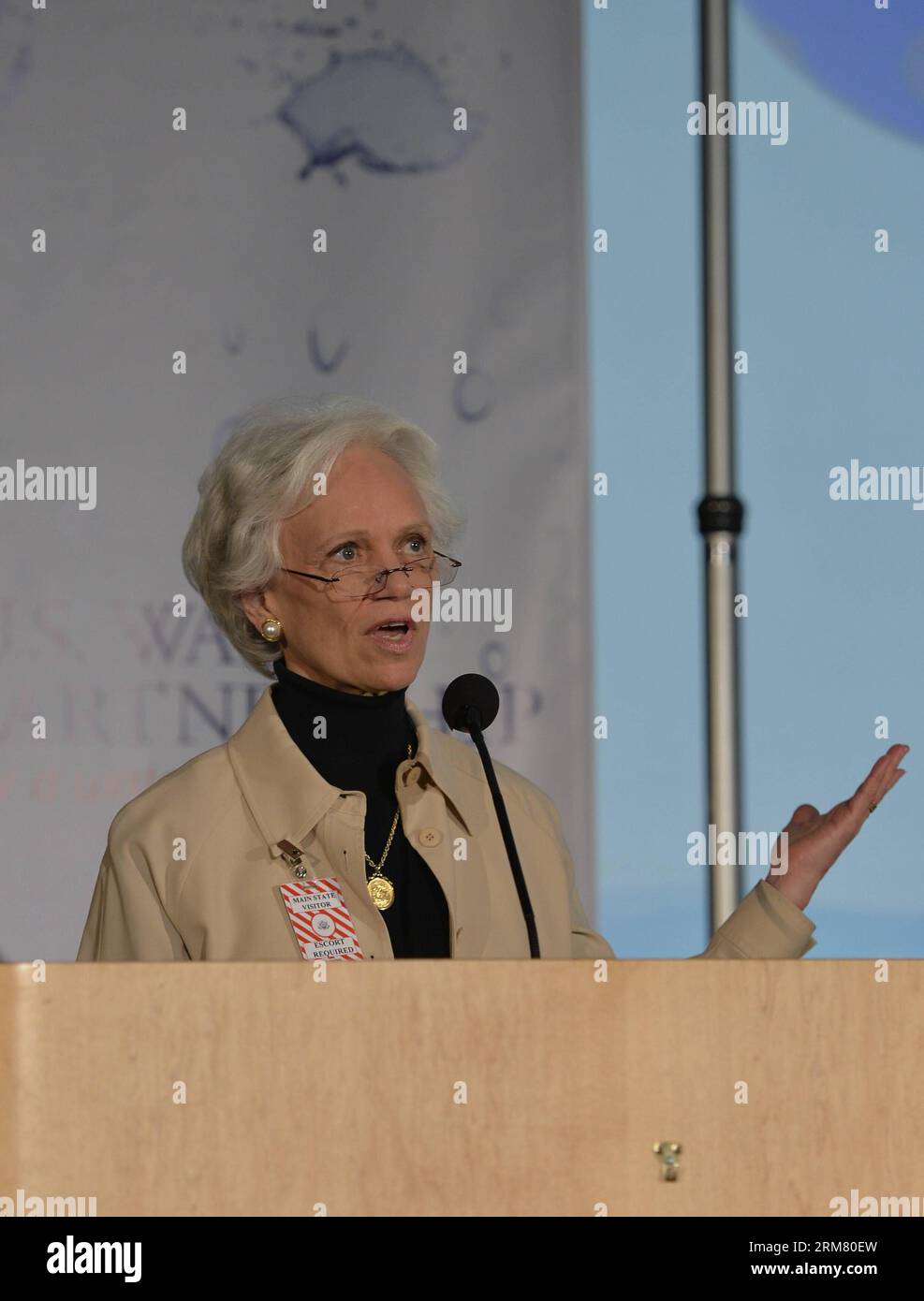 Harriet Babbitt, vice presidente del World Resources Institutes (WRI), parla all'USTech H2.o , un evento tenuto in riconoscimento della giornata Mondiale dell'acqua sul Dipartimento di Stato degli Stati Uniti a Washington D.C., capitale degli Stati Uniti, 21 marzo 2014. Il Dipartimento di Stato degli Stati Uniti ha presentato le innovative tecnologie idriche americane all'USTech H2.o . I protagonisti dello spettacolo erano 28 tecnologie idriche rivoluzionarie sviluppate dagli americani. Queste tecnologie includevano approcci pionieristici al trattamento delle acque, alla purificazione, al pompaggio, al recupero di energia e nutrienti e alla progettazione di impianti idrici. (Xinhua/Bao Dandan) US-WASHINGTON-WORLD WAT Foto Stock