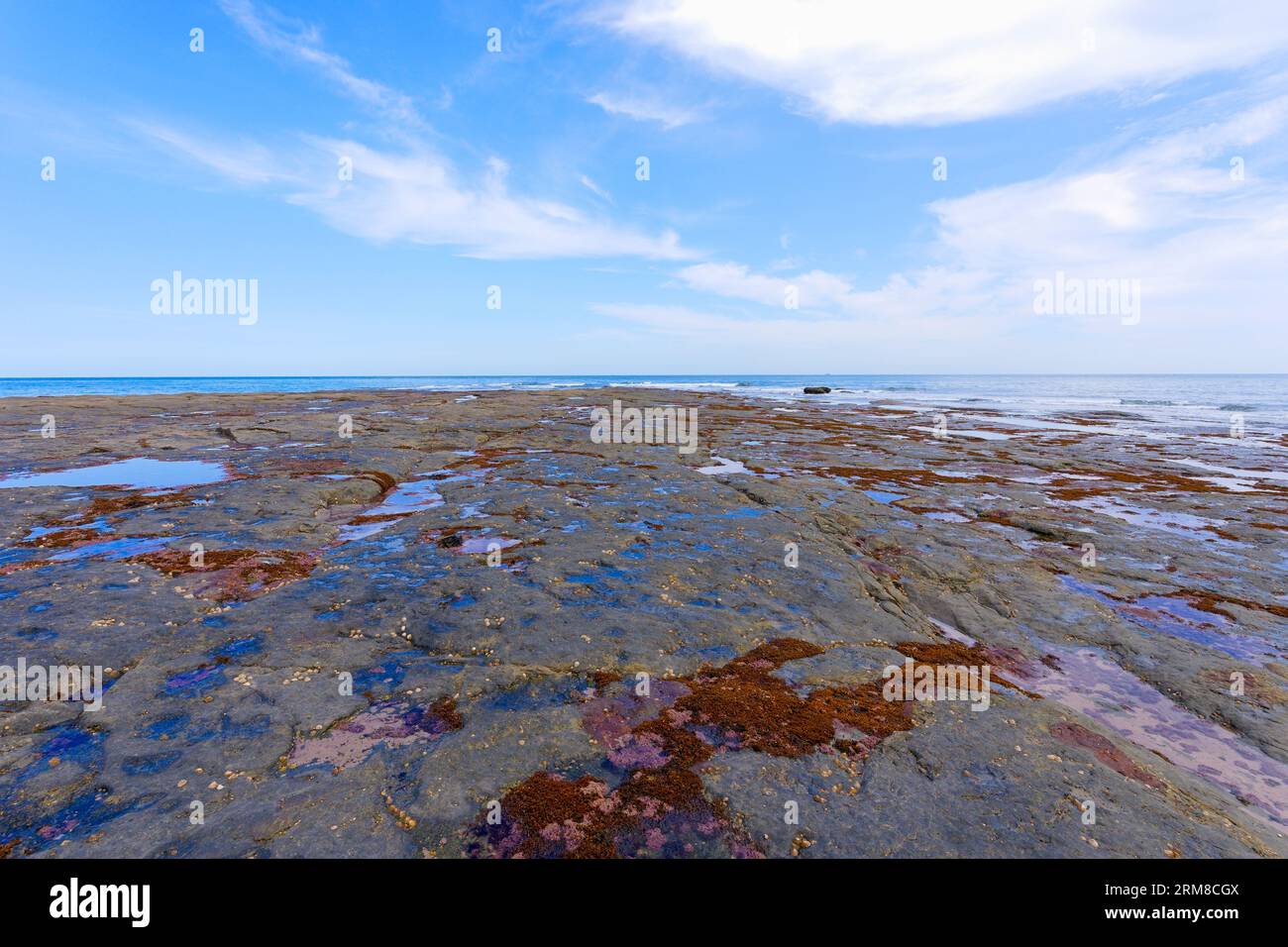 La bassa marea a Staithes rivela la costa coperta di roccia ricoperta di alghe marine e zampe. Foto Stock