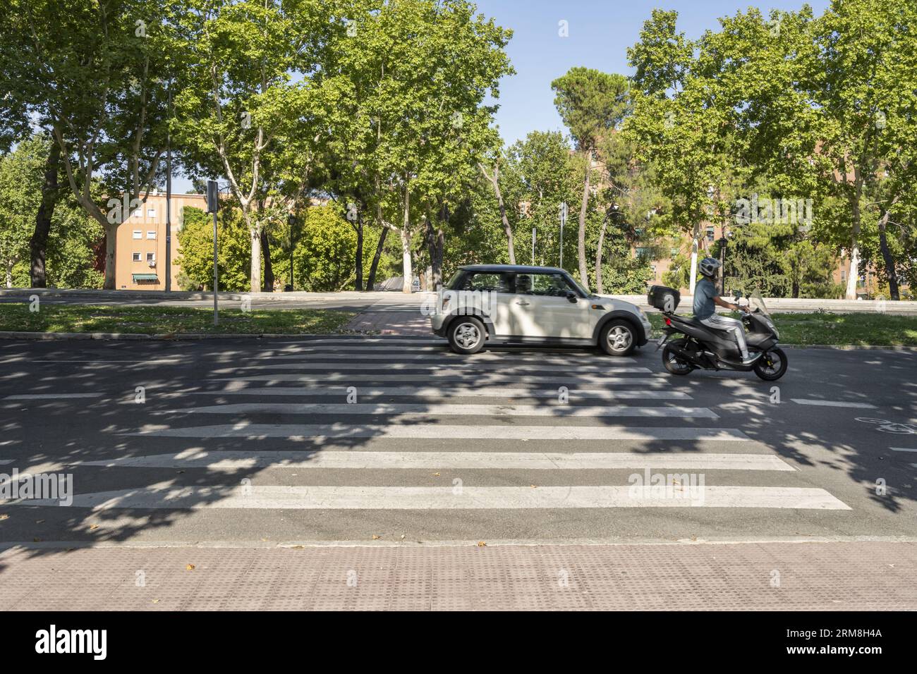 Un incrocio zebrato su una strada che conduce ad un parco urbano con dei veicoli che vi passano sopra Foto Stock