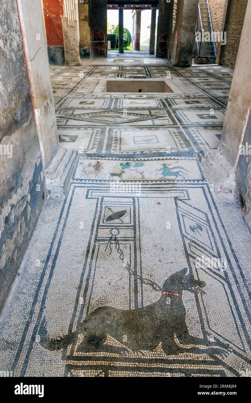 Sito archeologico di Pompei, Campania, Italia. Mosaico di porta di guardia del cane alla Casa di Paquius Proculus. Pompei, Ercolano e Torre Annunziat Foto Stock