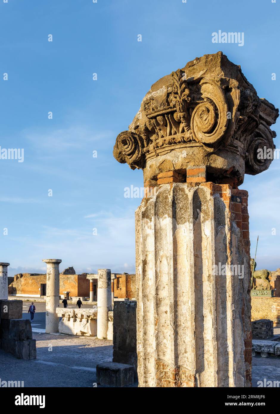 Sito archeologico di Pompei, Campania, Italia. Capitale della colonna nella Basilica. La forma è nota come ionica Pompeiana e sembra essere un mix di Foto Stock