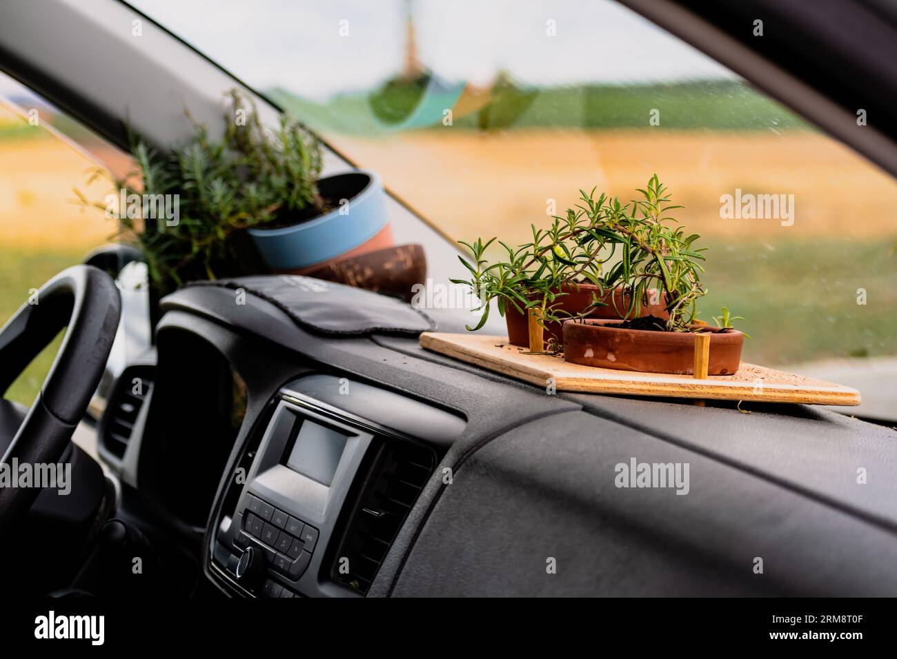 Impianto in vaso all'interno di un'auto, stile di vita unico, decorazione fatta in casa Foto Stock