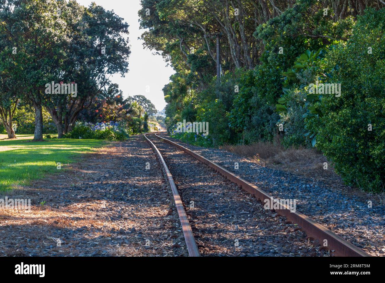 Binari ferroviari che conducono davanti agli splendidi alberi di Pohutukawa vicino al Coastal Walkway a New Plymouth, nuova Zelanda Foto Stock