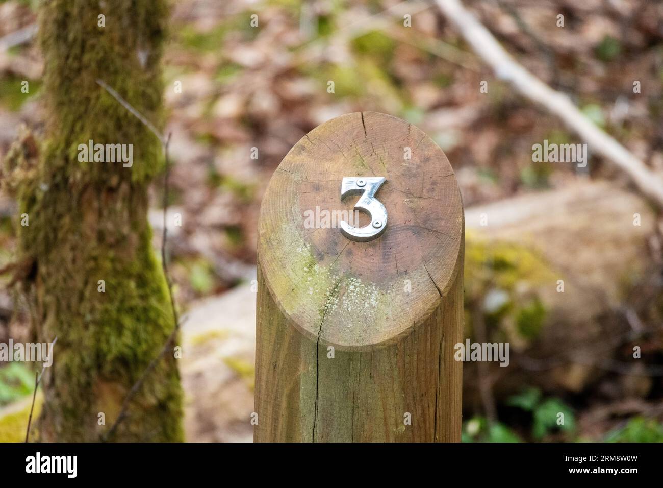 palo della recinzione nella foresta con il cartello 3 Foto Stock