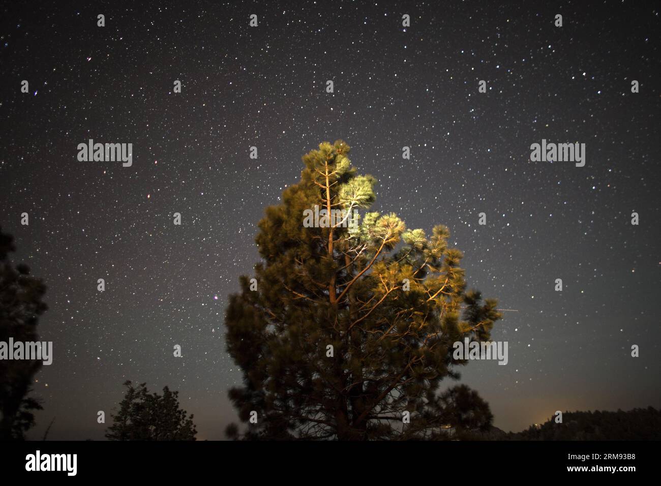 BASSA CALIFORNIA, 2014 (Xinhua) -- foto scattata il 3 maggio 2014 mostra le stelle sopra il Parco Nazionale della Sierra de San Pedro Martir nella penisola della bassa California, Messico. Situato nella parte settentrionale della penisola della Baja California, il Parco Nazionale della Sierra de San Pedro Martir ospita un'ammirevole ricchezza biologica per le sue foreste di pini, abeti rossi, cipressi e conifere miste. Circa il 70% della superficie del parco è coperta da boschi. Una grande varietà di mammiferi vive nel Parco Nazionale San Pedro Martir, come le pecore bighorn, il cervo mulo e il puma, nonché uccelli, pesci e rettili Foto Stock