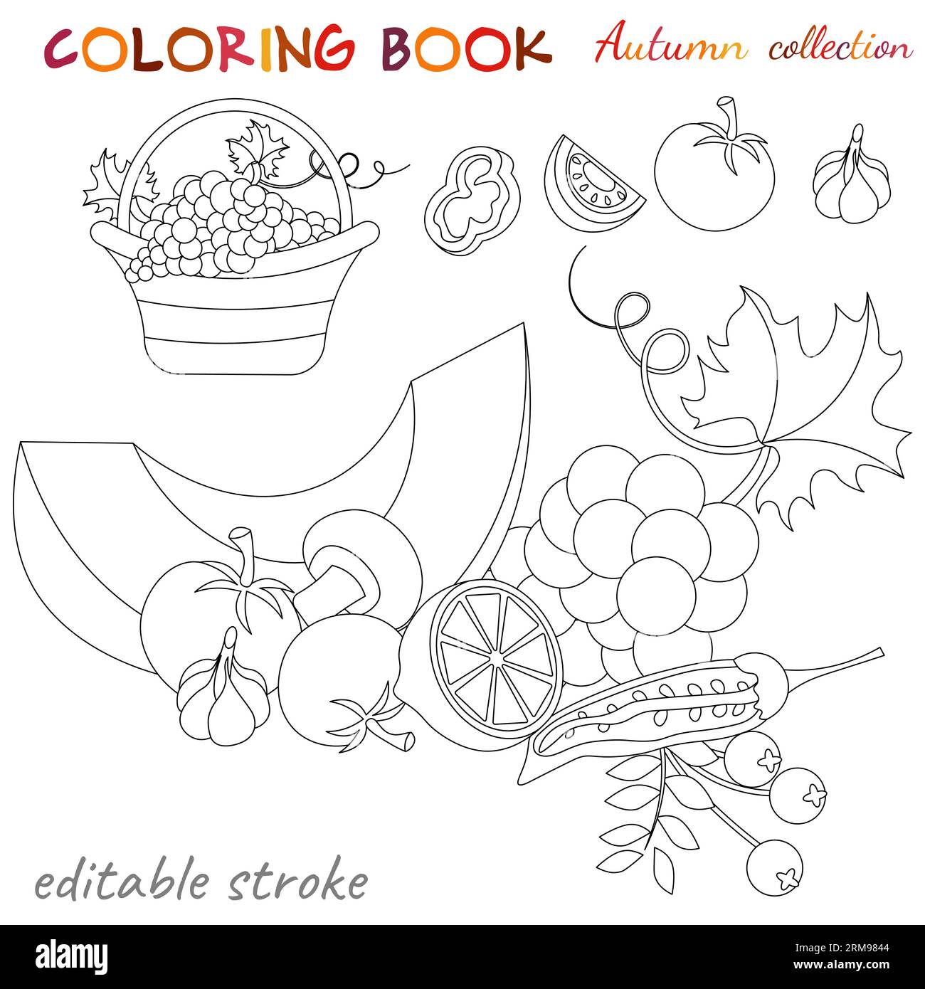 Collezione autunnale. Frutta e verdura. Natura morta autunno. Modello di colorazione rilassante. Illustrazione vettoriale modificabile. Illustrazione Vettoriale