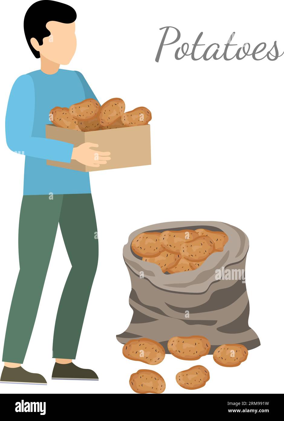 Raccolto vegetale. La gente sta raccogliendo. L'uomo porta le patate raccolte in una scatola, è impegnato in agricoltura. Giardinaggio e cura delle piante. Piatto S Illustrazione Vettoriale