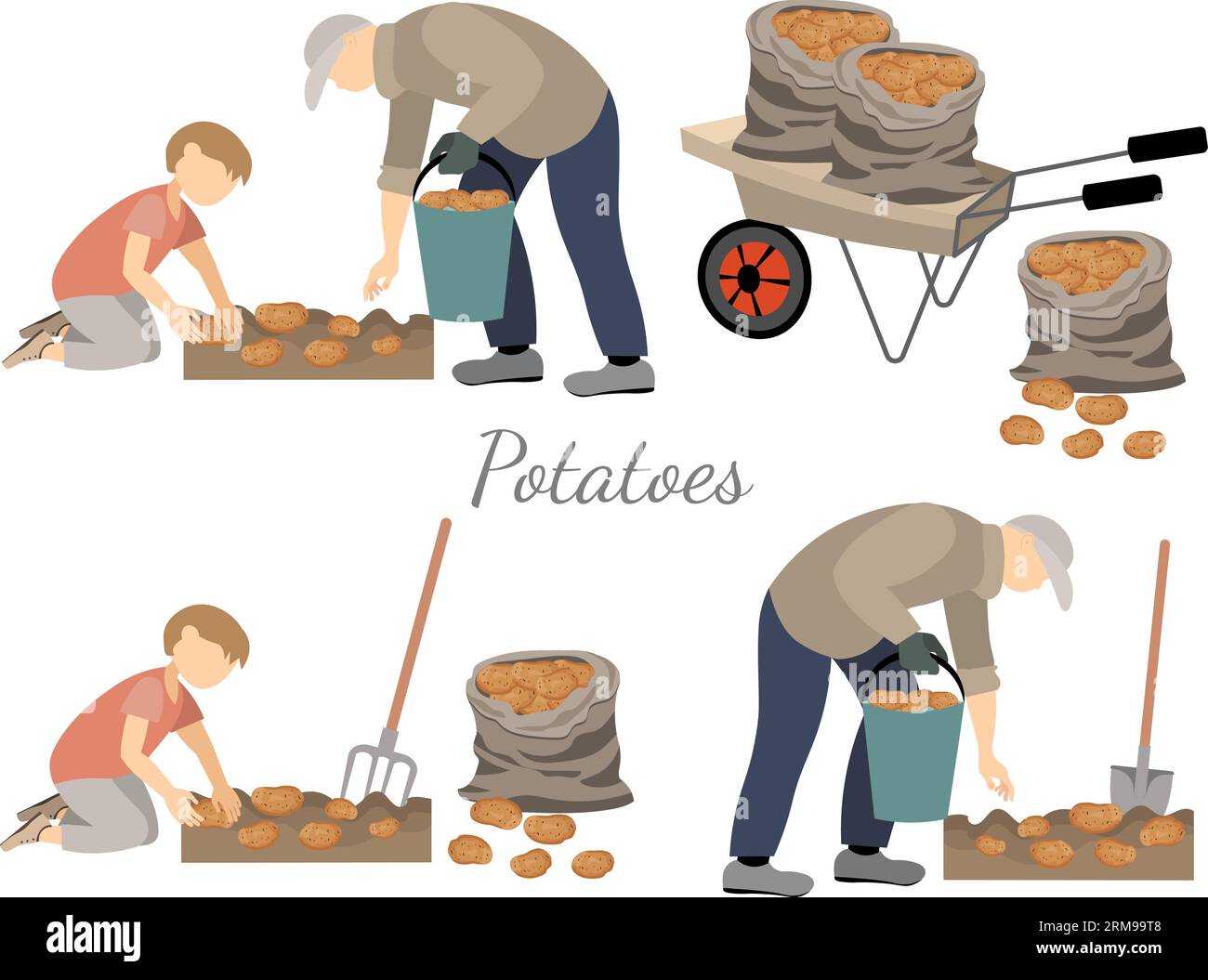 Raccolto vegetale. La gente del raccolto, a raccogliere le patate. Un uomo e un ragazzo lavorano in una fattoria, sono impegnati in agricoltura. Giardinaggio e cura delle piante. Piatto Illustrazione Vettoriale