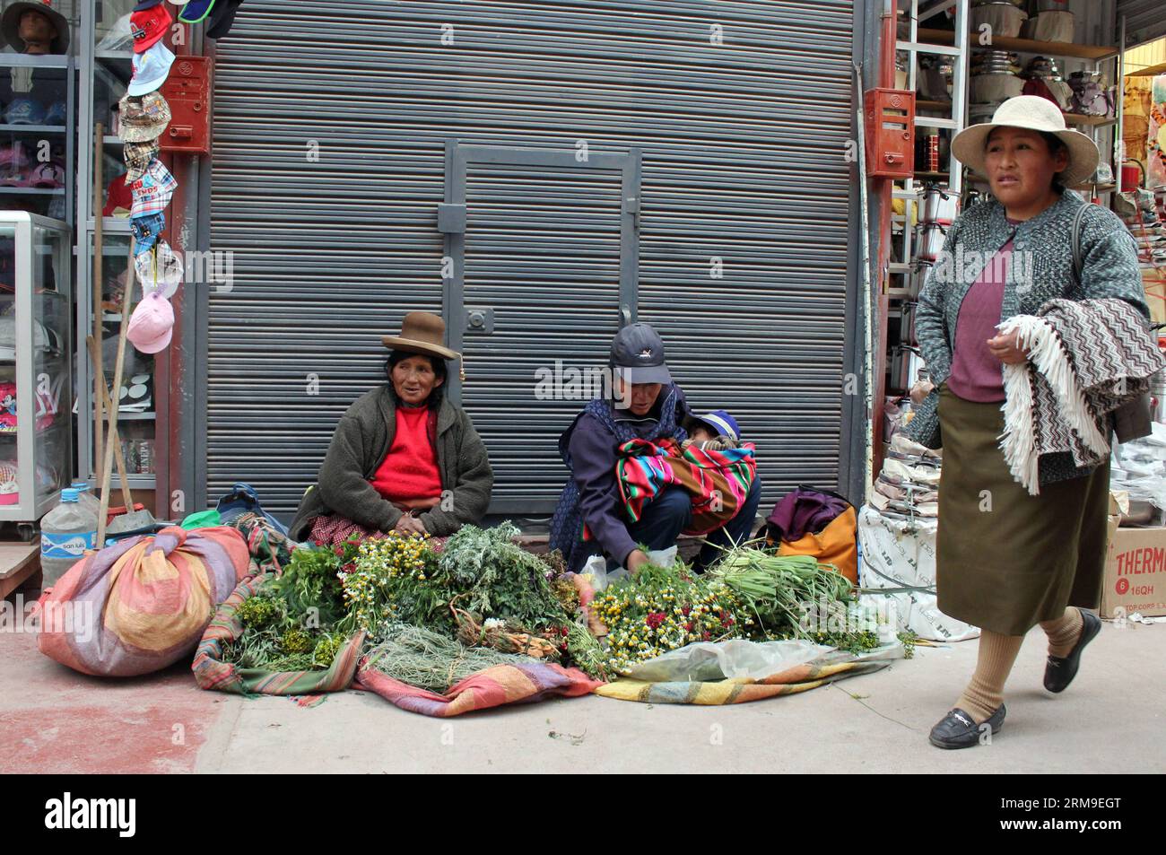 (140520) -- PUNO, 20 maggio 2014 (Xinhua) -- Una donna vende erbe nel centro di Juliaca City, Perù, 13 maggio 2014. Il lago Titicaca e le sue isole galleggianti nella regione di Puno del Perù hanno non solo attrazioni naturali, ma anche una cultura unica grazie alla popolazione quechua di Juliaca che vive lì. Il lago Titicaca si trova nell'altopiano di Collao, con le isole di Luna, Taquile, Amantani, Uros e Suriqui. (Xinhua/Luis Camacho)(zhf) PERU-PUNO-TITICACA LAKE-FLOATING ISLAND PUBLICATIONxNOTxINxCHN Puno 20 maggio 2014 XINHUA una donna vende erbe nel centro di Juliaca City Perù 13 maggio 2014 il Titicaca Lak Foto Stock