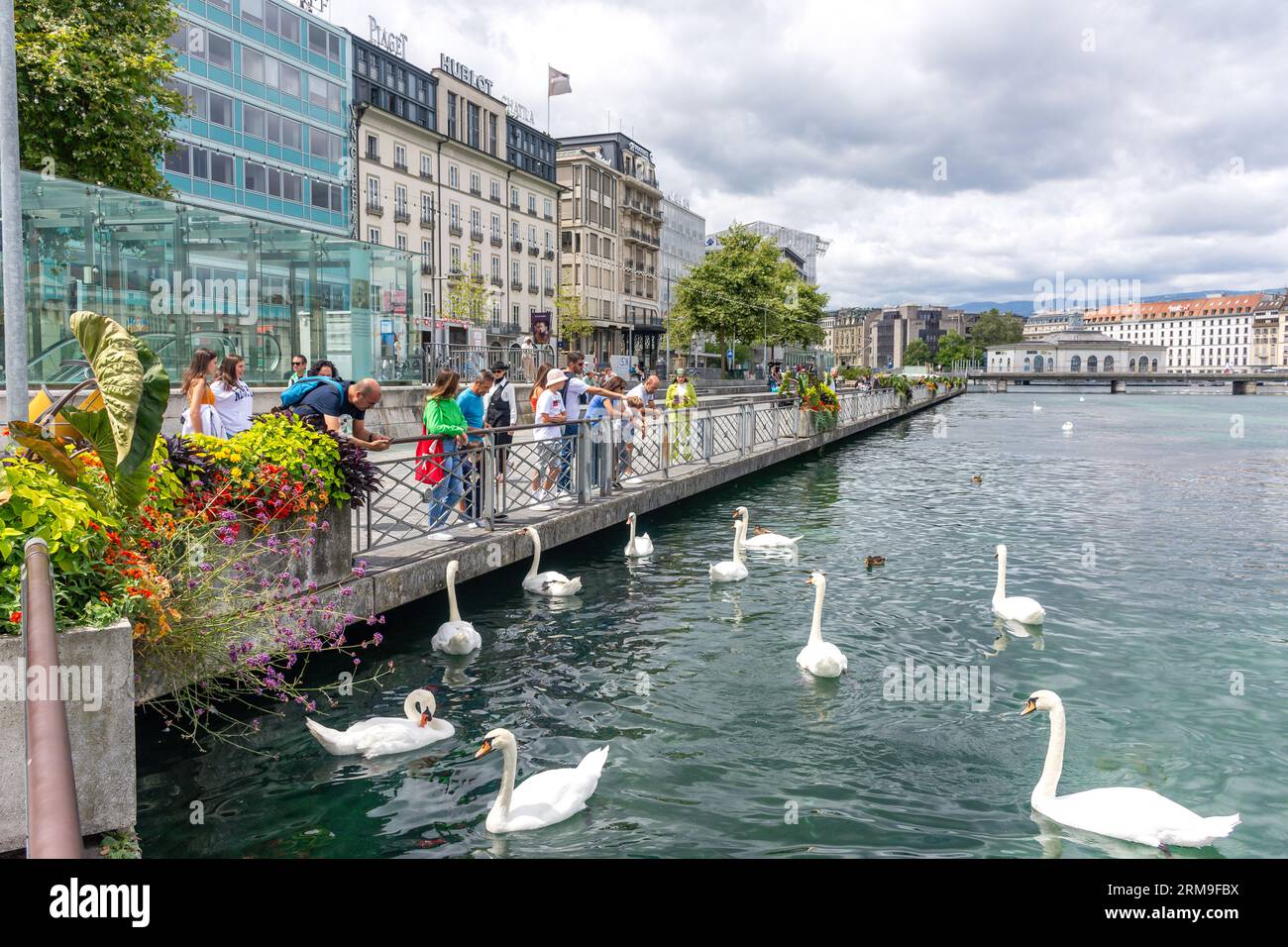 Lungofiume (Promenade du Lac), Quai du Général-Guisan, Ginevra (Genève) Cantone di Ginevra, Svizzera Foto Stock