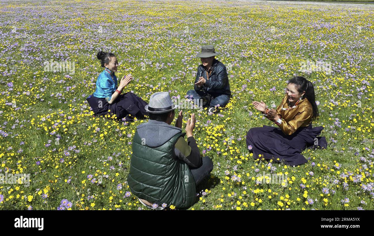 (140619) -- HONGYUAN, 19 giugno 2014 (Xinhua) -- le persone hanno un tempo libero tra i fiori sul pascolo di Emutang nella Township Rangkou della contea di Hongyuan, nella provincia del Sichuan della Cina sud-occidentale, 19 giugno 2014. (Xinhua/Jiang Hongjing) (lfj) CHINA-SICHUAN-HONGYUAN-FLOWERY PASTURE (CN) PUBLICATIONxNOTxINxCHN Hongyuan 19 giugno 2014 le celebrità di XINHUA hanno un tempo libero tra i fiori SUL pascolo nel comune della contea di Hongyuan nella provincia di Sichuan 19 giugno 2014 XINHUA Jiang Hongjing Cina sudoccidentale XINHUA Jiang Hongjing China Sichuan Pichuan Pichuan Pichuan PUXINICANANO BLINXINXINXINXINXINXINXINXINWINCHINTIN Foto Stock