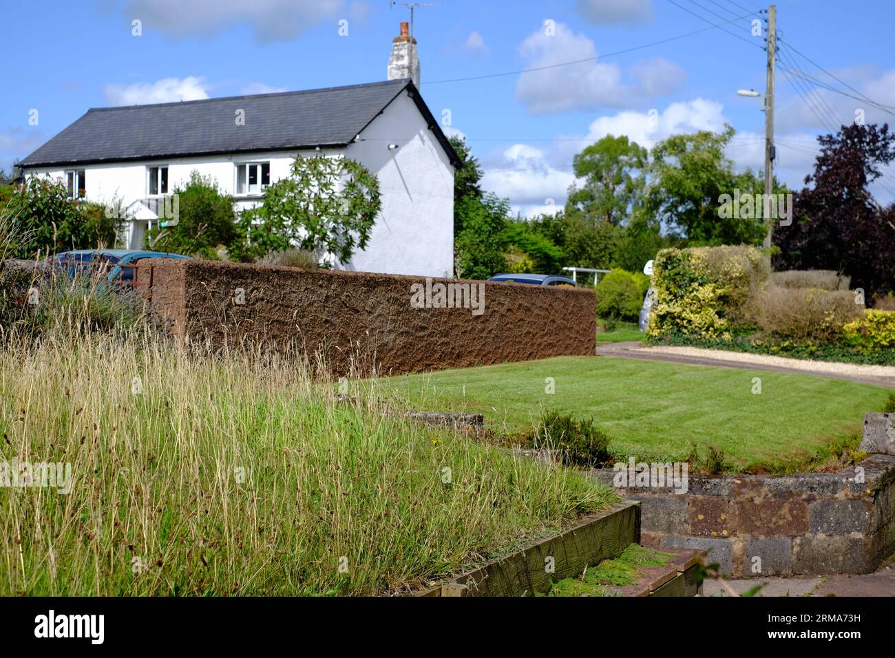 Un vicino non abbraccia il mow may e lascia il prato per crescere alto e selvaggio. Foto Stock