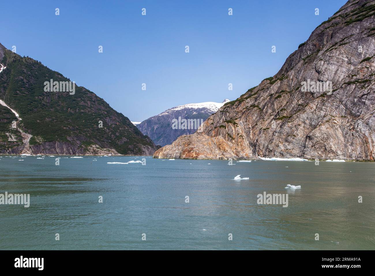 Tracy Arm Fjord, Alaska, USA Foto Stock