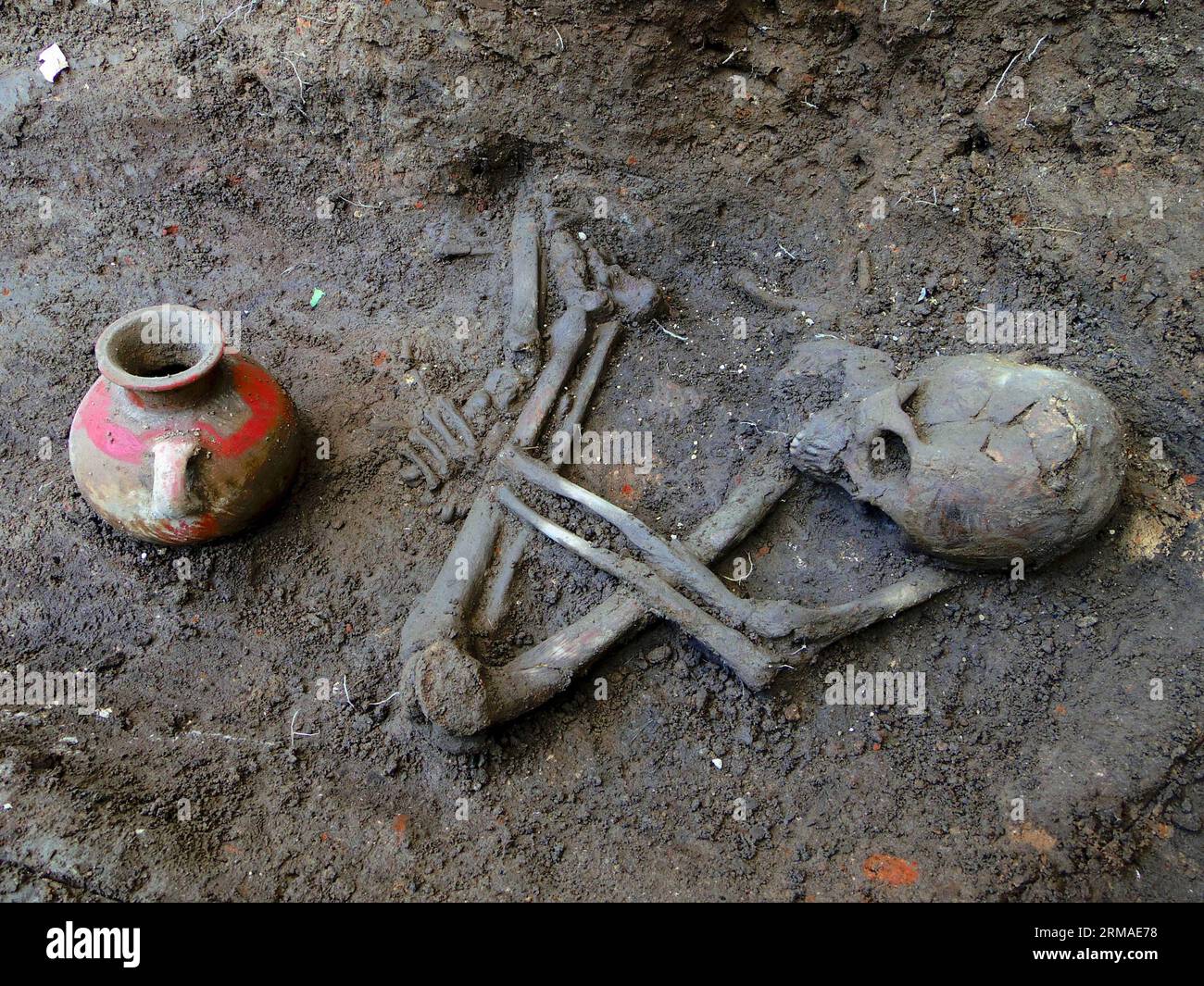 USULUTAN, 4 luglio 2014 (Xinhua) -- immagine non datata fornita il 4 luglio 2014 dal Segretariato della Cultura di El Salvador mostra uno dei tre scheletri umani di oltre 1.600 anni trovati a Usulutan, 70 km a sud-est della città di San Salvador, capitale di El Salvador. Gli scheletri furono trovati da antropologi giapponesi e salvadoregni. (Xinhua/Segretariato della Cultura di El Salvador) EL SALVADOR-USULUTAN-ARCHEOLOGY-FIND PUBLICATIONxNOTxINxCHN 4 luglio 2014 XINHUA undated Image fornita IL 4 luglio 2014 dal Segretariato della Cultura di El Salvador mostra uno dei tre scheletri umani di Foto Stock