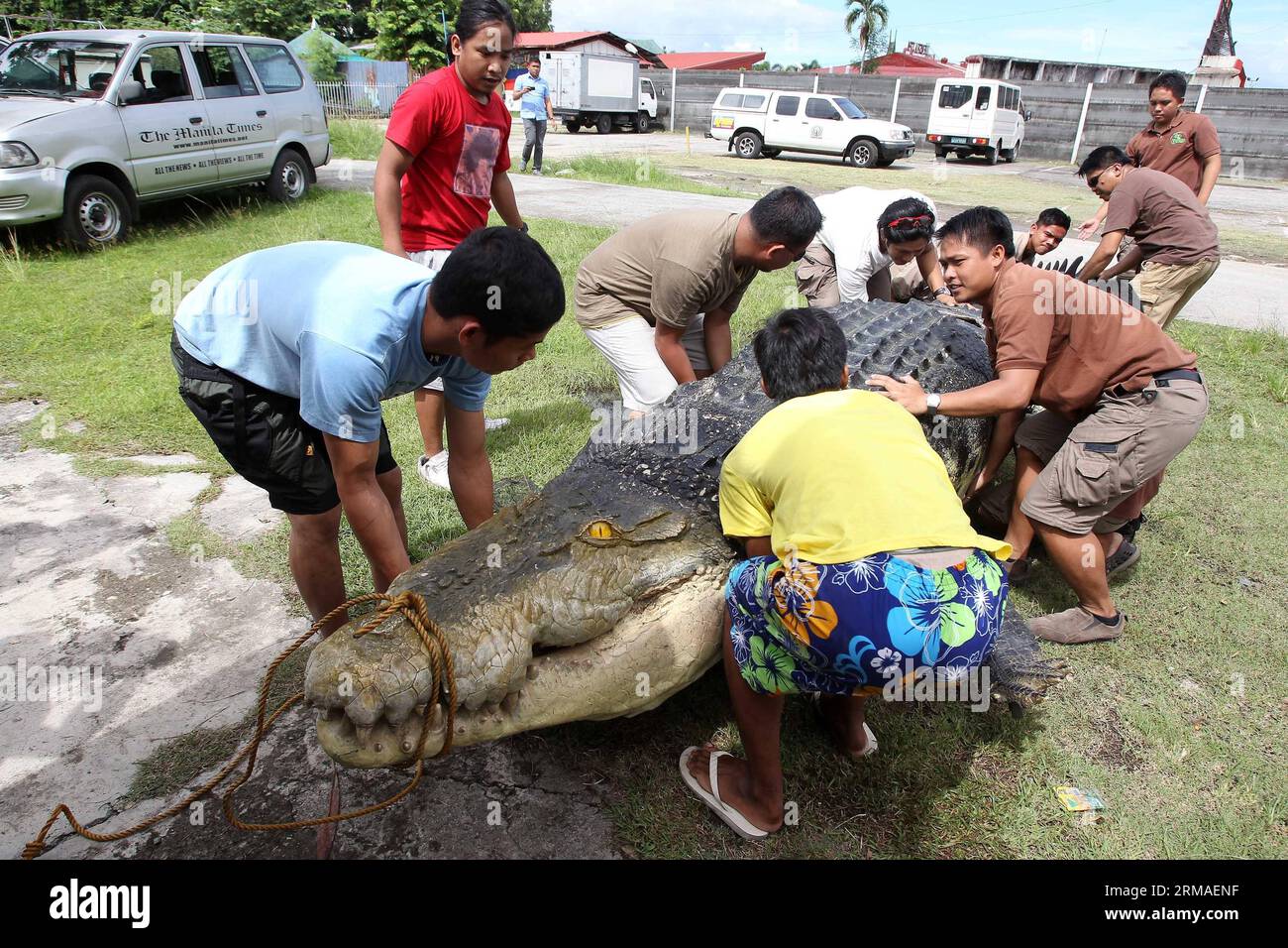 (140705) -- PASAY CITY, 5 luglio 2014 (Xinhua) -- i lavoratori trasportano Longlong , un coccodrillo robot di 21 piedi da un camion al Crocodile Park di Pasay City, Filippine, 5 luglio 2014. Il coccodrillo robotico, che costa circa 80.000 pesos, o 1.818 dollari americani, è ispirato da un coccodrillo gigante di acqua salata, il coccodrillo più lungo della terra, morto in cattività nel sud delle Filippine nel 2013. (Xinhua/Rouelle Umali) FILIPPINE-PASAY CITY-ROBOT COCCODRILLO PUBLICATIONxNOTxINxCHN Pasay City 5 luglio 2014 i lavoratori di XINHUA trasportano un coccodrillo robot da 21 piedi da un camion AL Crocodile Park di Pasay Foto Stock