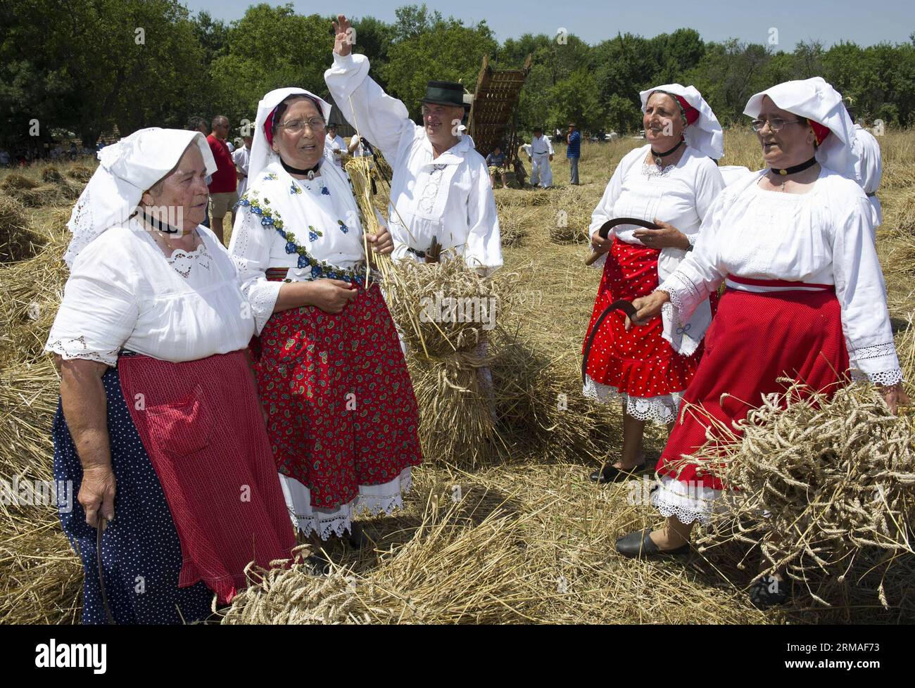 ZAGABRIA, 5 luglio 2014 (Xinhua) -- le persone che indossano costumi tradizionali partecipano al 12 ° evento Harvest and Threshing in the Past a Zupanja, Croazia, 5 luglio 2014. Celebrando il duro lavoro e la bellezza della tradizione del raccolto del popolo slavo, gli agricoltori locali e i turisti della Bosnia-Erzegovina e della Serbia hanno vissuto la vita rurale nella regione storica orientale della Croazia, la Slavonia. (Xinhua/Miso Lisanin) (dzl) CROAZIA-ZUPANJA-HARVEST-TRADITION PUBLICATIONxNOTxINxCHN Zagreb 5 luglio 2014 le celebrità di XINHUA che indossano costumi tradizionali partecipano al 12° Harvest and Threshing in the Past Event in Foto Stock