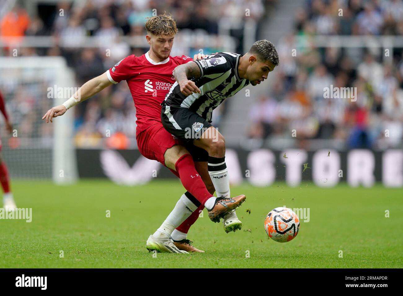 Harvey Elliott del Liverpool (a sinistra) e Bruno Guimaraes del Newcastle United si battono per il pallone durante la partita di Premier League a St.. James' Park, Newcastle upon Tyne. Data foto: Domenica 27 agosto 2023. Foto Stock