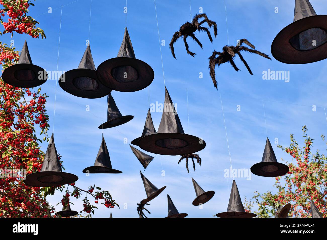 Halloween decorazione cappellini strega e ragni appesi nel cielo Foto Stock