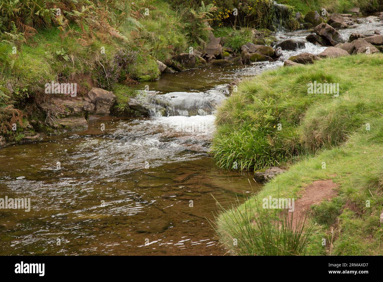 pont ar daf Brecon Beacons Bannau Brycheiniog Galles Foto Stock