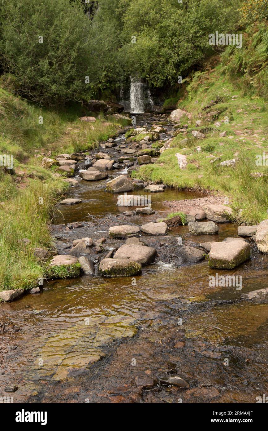 Cascate di Blaen-y-glyn Brecon Beacons Bannau Brycheiniog Galles Foto Stock