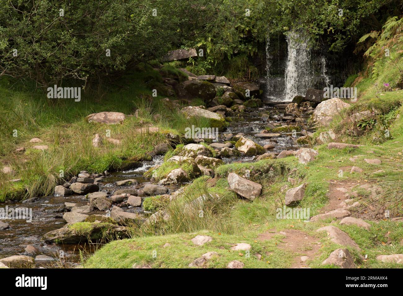 Cascate di Blaen-y-glyn Brecon Beacons Bannau Brycheiniog Galles Foto Stock